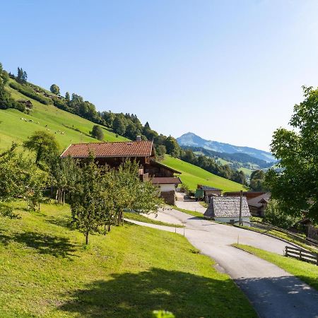 Apartament Anderla 1 Wildschoenau Zewnętrze zdjęcie